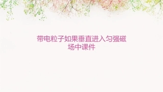 带电粒子如果垂直进入匀强磁场中课件