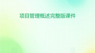 项目管理概述完整版课件