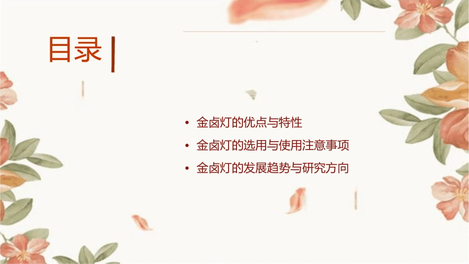 金卤灯工作原理初步分解课件_第2页