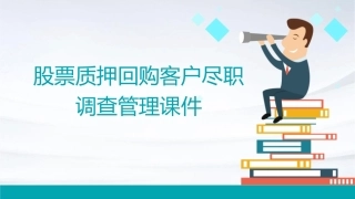 股票质押回购客户尽职调查管理课件