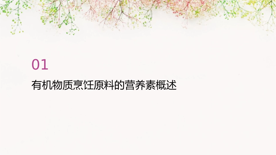 有机物质烹饪原料中的营养素分类课件_第3页