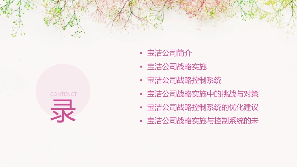 宝洁公司的战略实施与控制系统_第2页