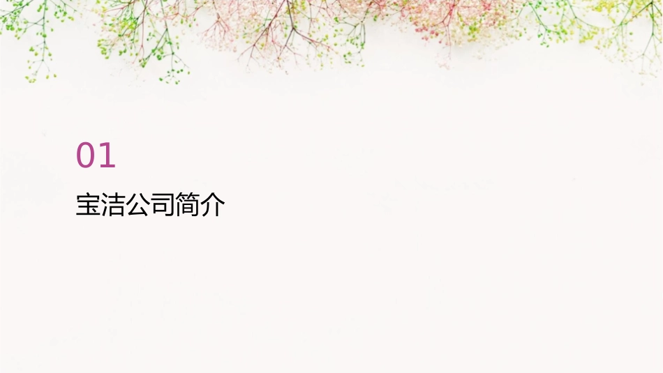 宝洁公司的战略实施与控制系统_第3页