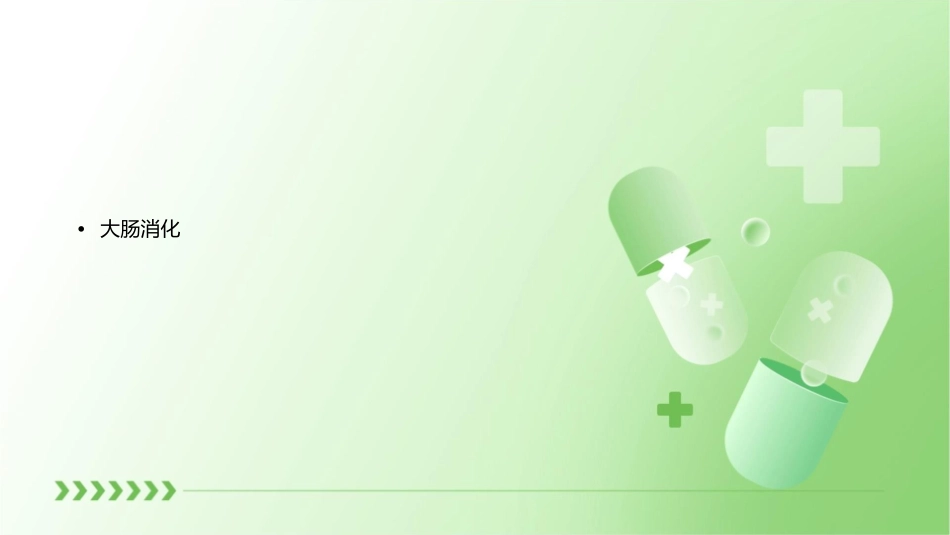 消化系统生理课件_第3页