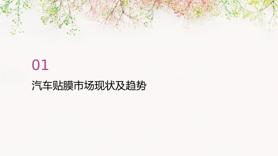 汽车贴膜网购新模式里那些你不知道的猫腻课件_第3页