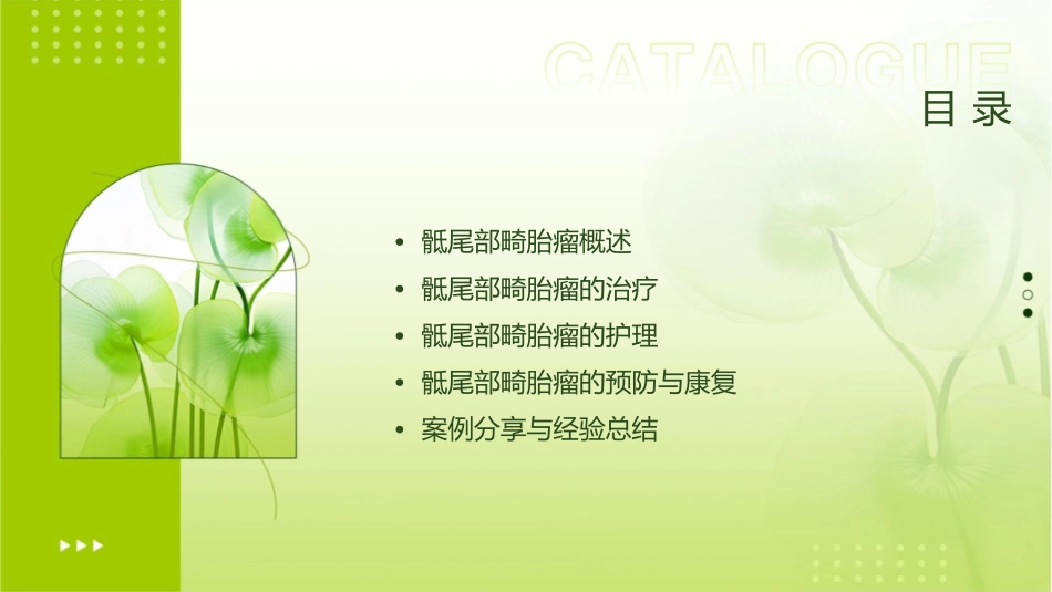 骶尾部畸胎瘤护理课件_第2页