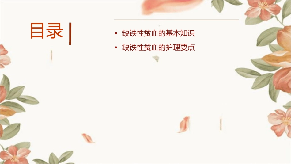 缺铁性贫血病人的护理通用课件_第2页