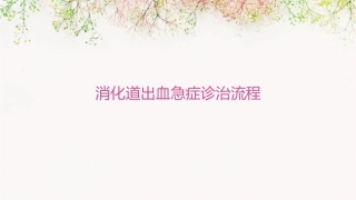消化道出血急症诊治流程课件