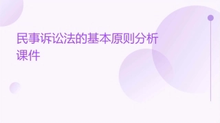 民事诉讼法的基本原则分析课件