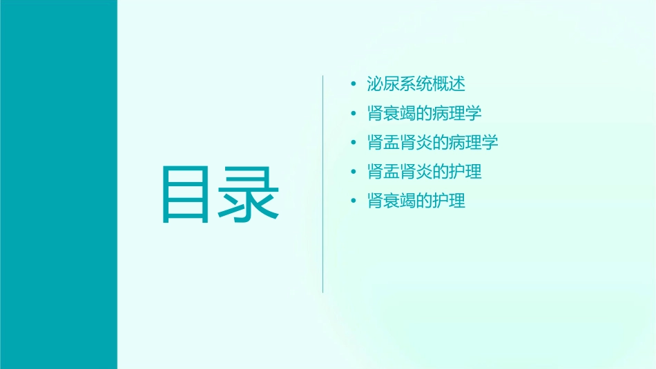泌尿系统疾病与肾衰竭肾盂肾炎肾盂肾炎病理学护理课件_第2页