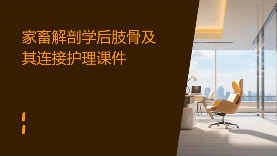 家畜解剖学后肢骨及其连接护理课件_第1页