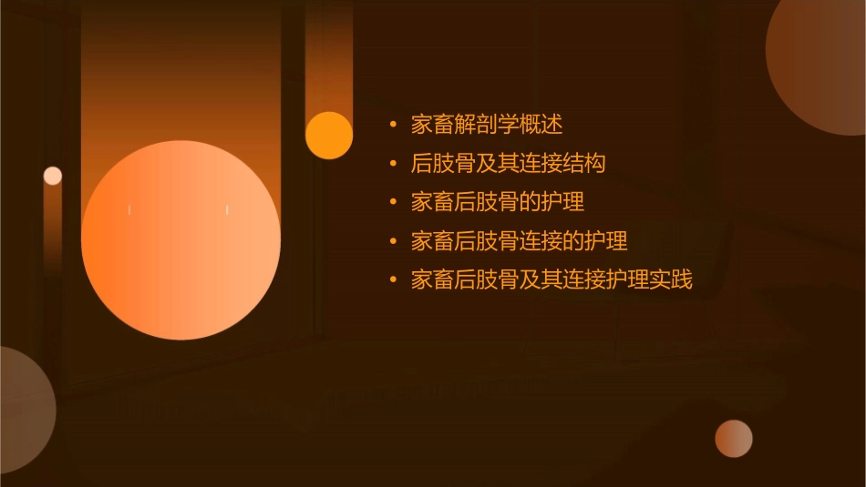 家畜解剖学后肢骨及其连接护理课件_第2页