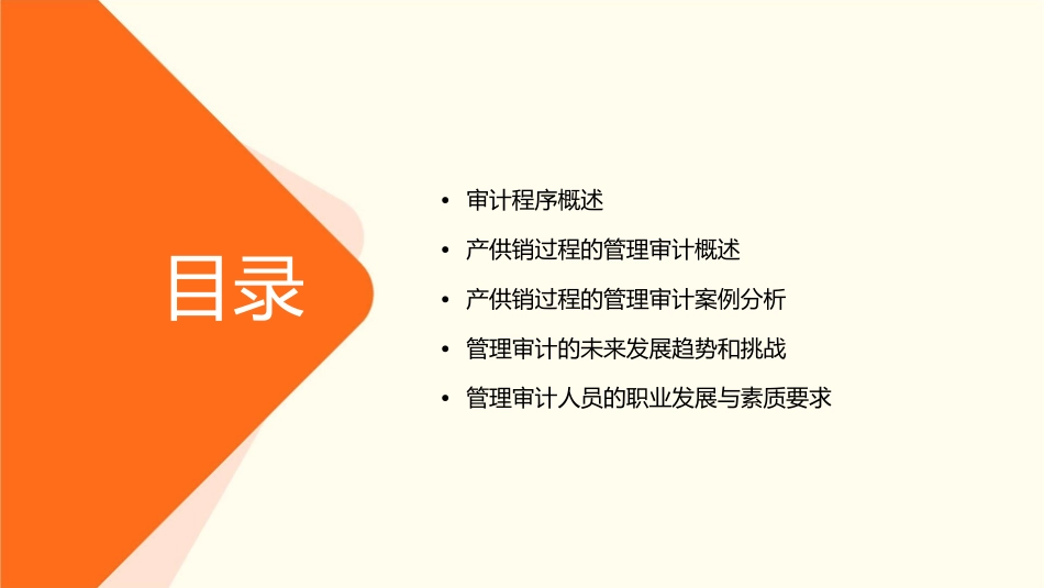 审计程序以及产供销过程的管理审计概述课件_第2页
