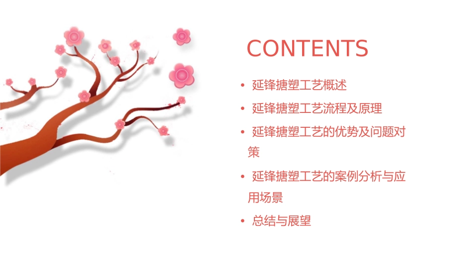 延锋搪塑工艺介绍课件_第2页