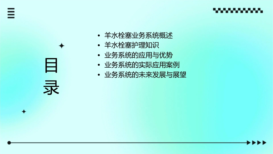 羊水栓塞业务系统概述护理课件_第2页