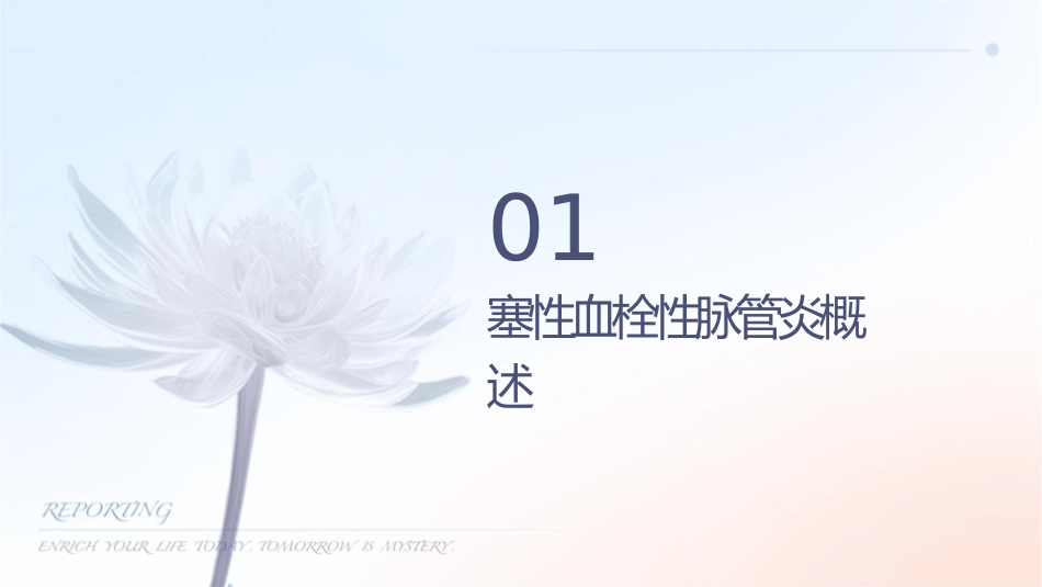闭塞性血栓性脉管炎护理课件_第3页