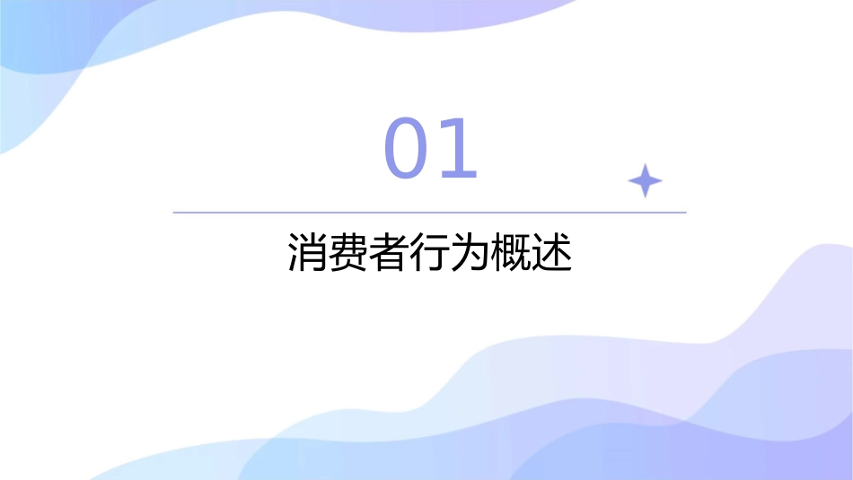 消费者的信念态度与行为课件_第3页