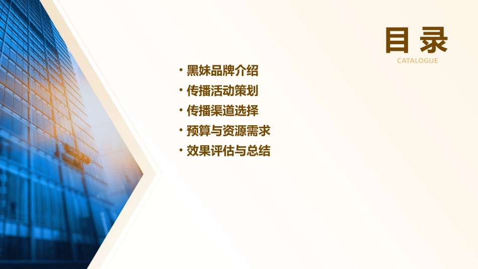 黑妹传播活动建议案课件_第2页