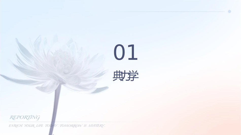 经典受力分析专题通用课件_第3页