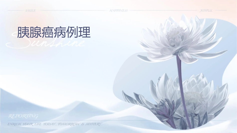 胰腺癌病例讨论护理课件_第1页