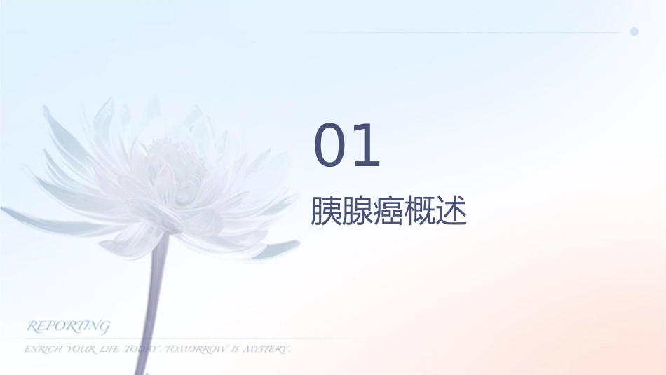 胰腺癌病例讨论护理课件_第3页