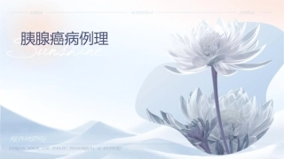 胰腺癌病例讨论护理课件