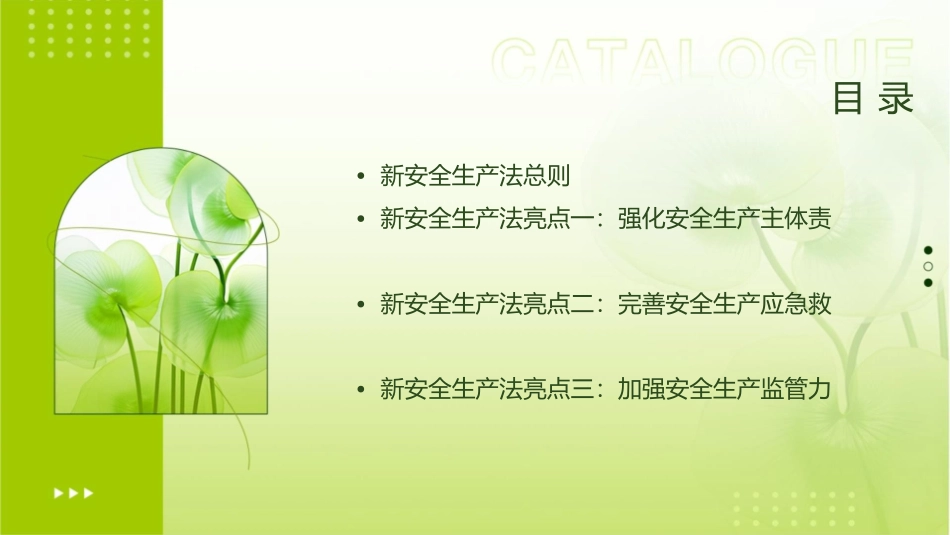 新安全生产法的十大亮点课件_第2页