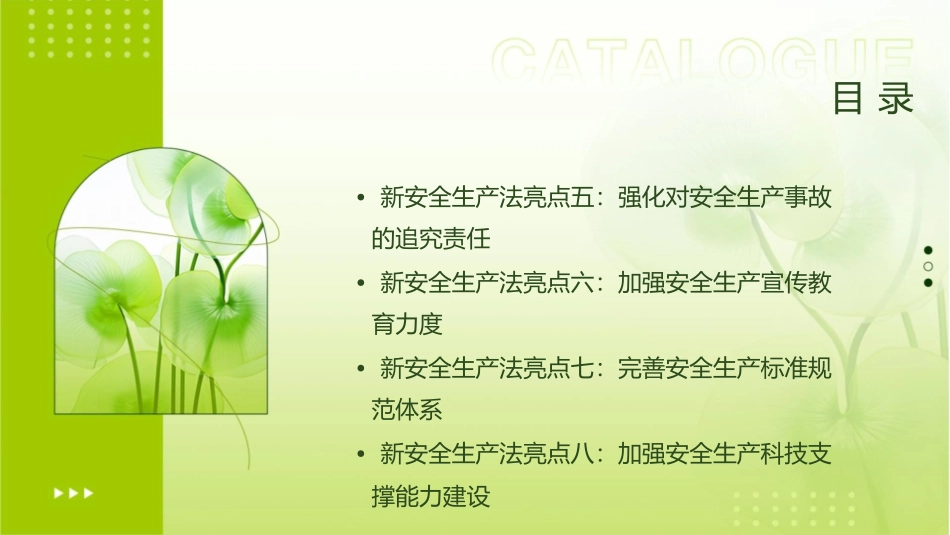 新安全生产法的十大亮点课件_第3页