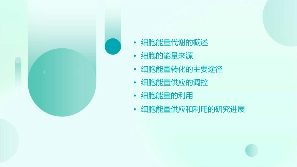 细胞的能量供应和利用(文)课件_第2页