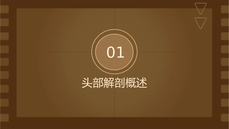 局部解剖学 头部解剖概述护理课件_第3页