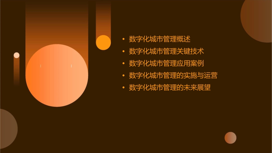 数字化城市管理项目课件_第2页