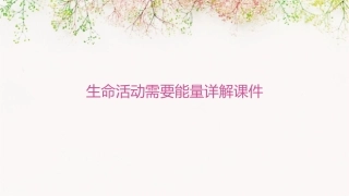 生命活动需要能量详解课件