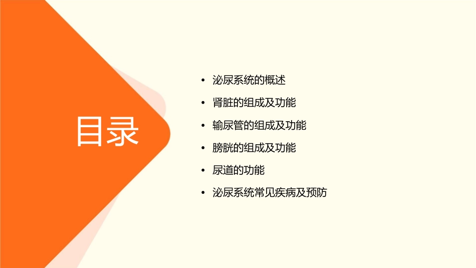 泌尿系统的组成部分及功能全解课件_第2页