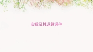 实数及其运算课件
