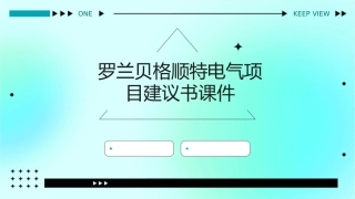 罗兰贝格顺特电气项目建议书课件