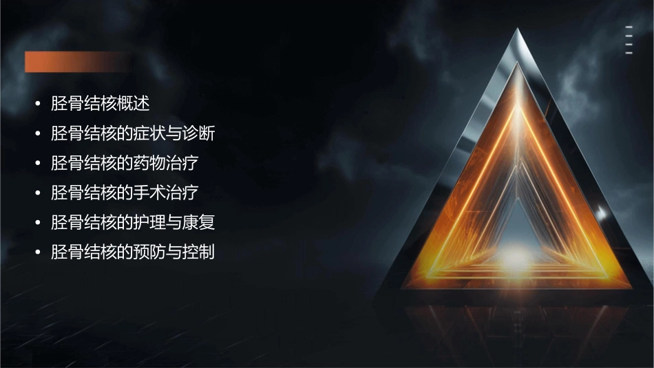 胫骨结核的护理课件_第2页