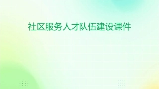 社区服务人才队伍建设课件