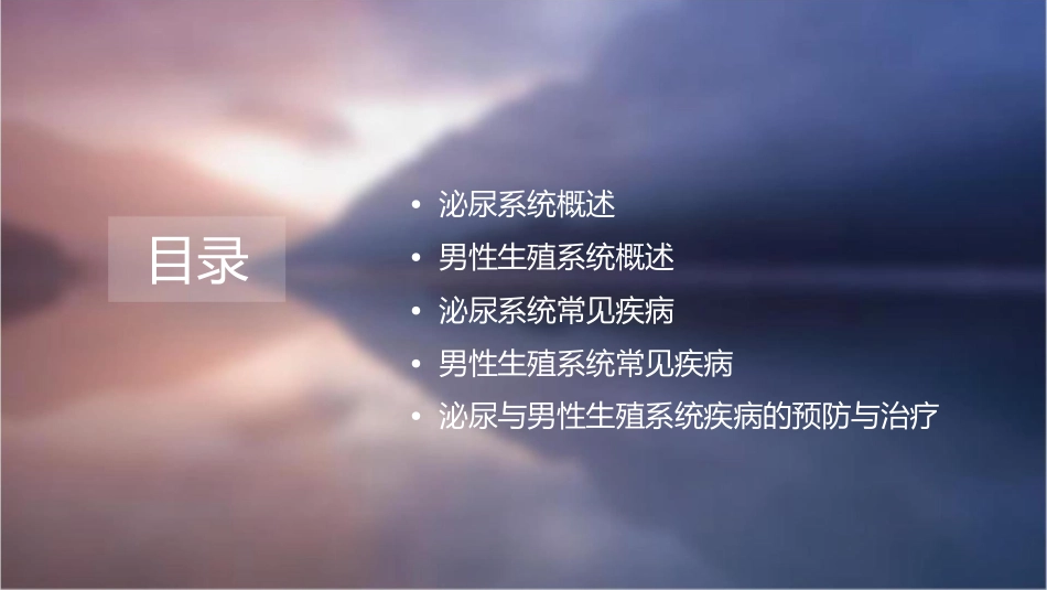 泌尿与男性生殖系lgy课件_第2页