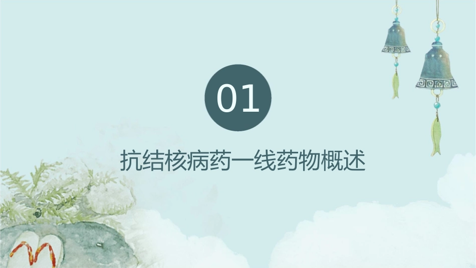 药理学 抗结核病药一线抗结核病药护理课件_第3页