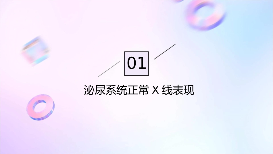 泌尿正常X线表现与基本病变课件_第3页