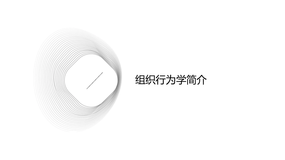 群体行为的基础《组织行为学》罗宾斯中文版课件_第3页