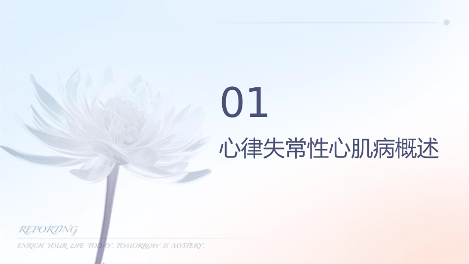 心律失常性心肌病护理课件_第3页