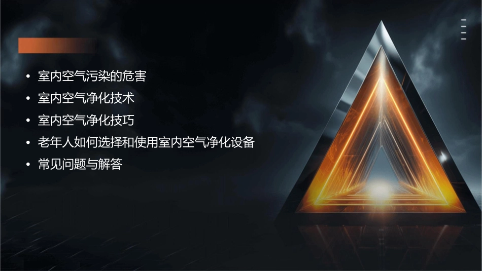 老年常见技术之室内空气净化技巧_第2页