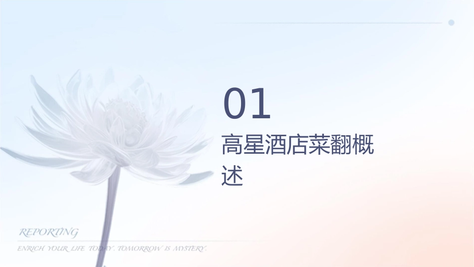 高星级酒店菜单翻译的技巧课件_第3页