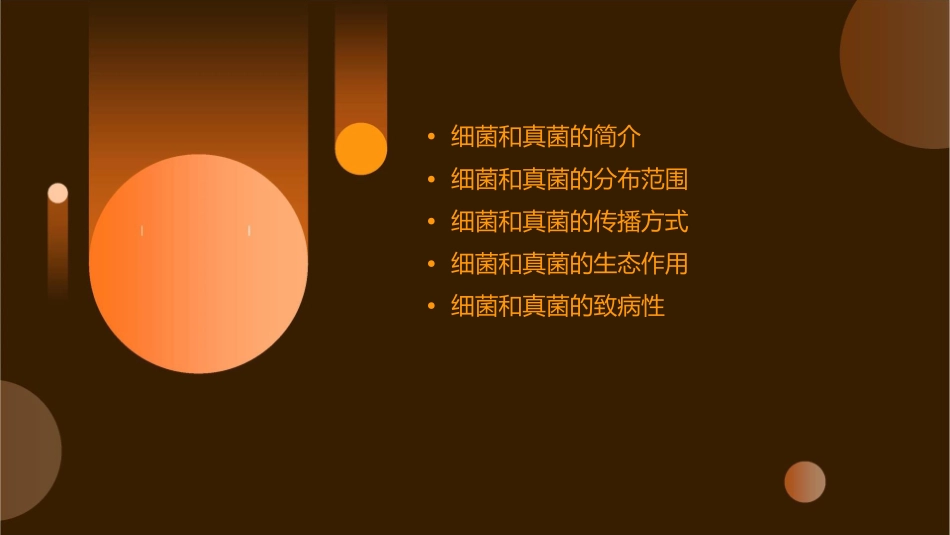 细菌和真菌的分布5课件_第2页