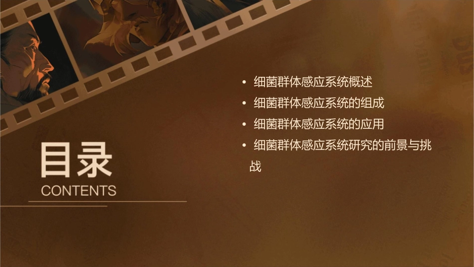 细菌群体感应系统及其应用课件_第2页