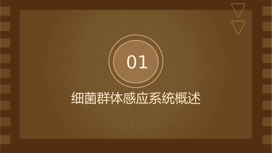 细菌群体感应系统及其应用课件_第3页