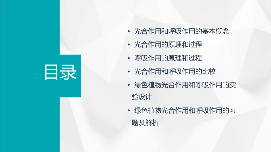 绿色植物的光合作用和呼吸作用复习课课件_第2页