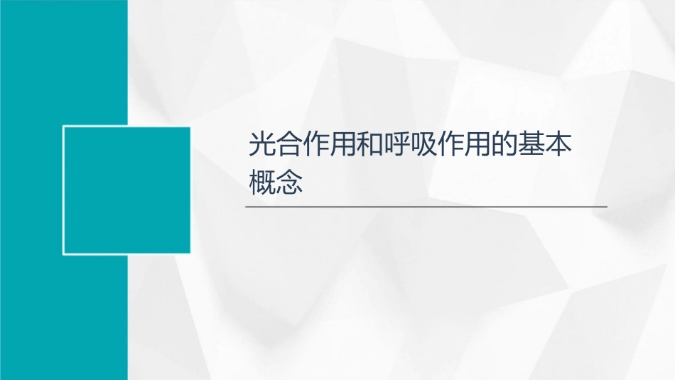 绿色植物的光合作用和呼吸作用复习课课件_第3页