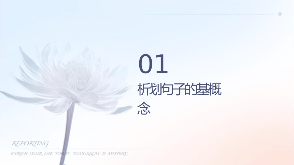 赏析划线句子(二轮督导)全解课件_第3页